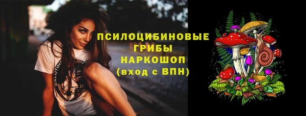 гидропоника Елабуга