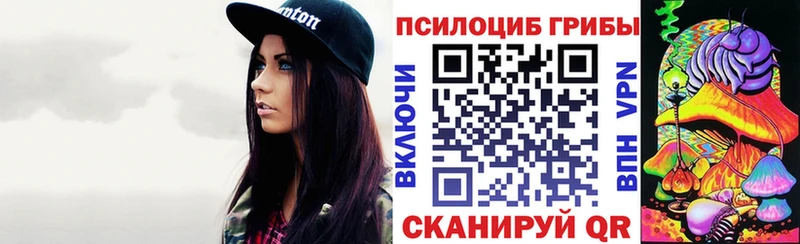 Псилоцибиновые грибы Psilocybe  Всеволожск 
