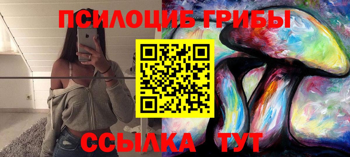 Всеволожск  Псилоцибиновые грибы Psilocybe  Вход с VPN 