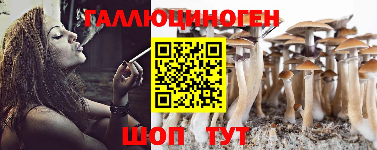 Галлюциногенные грибы мицелий  Всеволожск  Галлюциногенные грибы GOLDEN TEACHER 