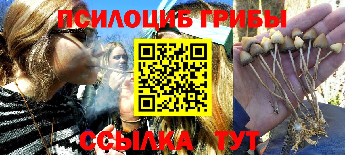 Галлюциногенные грибы MAGIC MUSHROOMS Всеволожск
